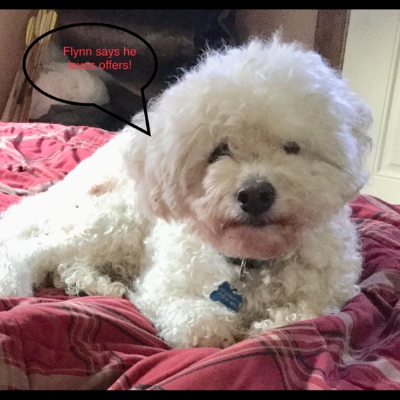 Flynn ❤️ Poshmark! Bundles too! - Picture 5 of 8